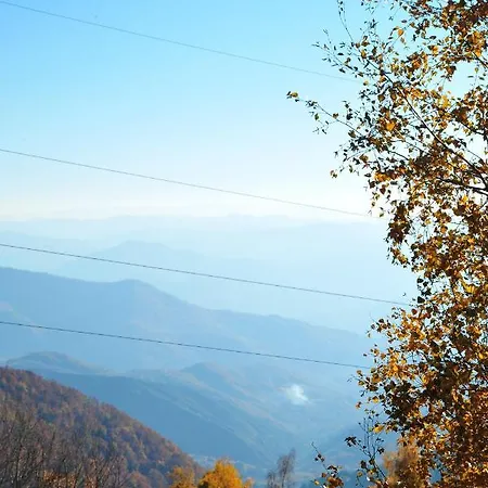 Krstojevic *