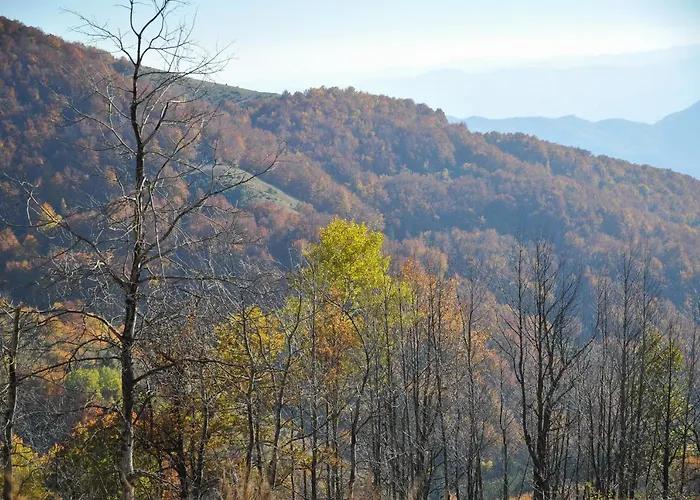 Krstojevic Διαμέρισμα Κοπαόνικ
