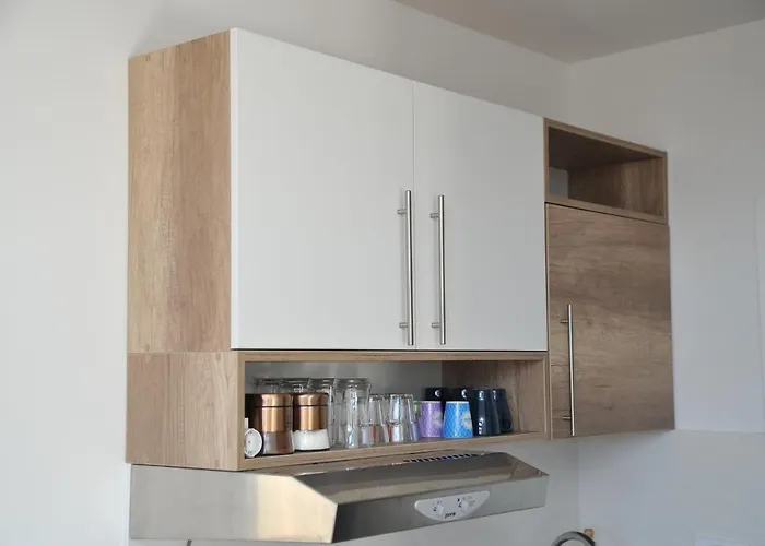 Krstojevic Κοπαόνικ